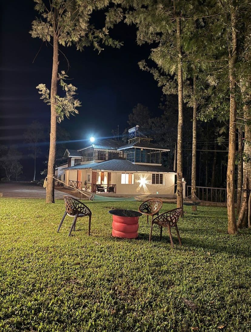 Cozinn C09 - Image 1